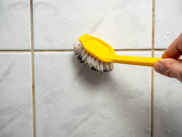 Best Bathroom Mold Remediation in Waldorf, MD