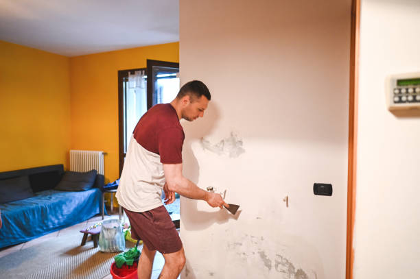 Best Industrial Mold Remediation in Waldorf, MD